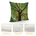 thumbnail image 4 of Shiartex  Forest Throw Pillow Cushion Cover, Body of a Tree Evergreen in The Nature Habitat Morning Time and Summer Season Scenery Print, Decorative Square Pillow Case, Green White, 4 of 5