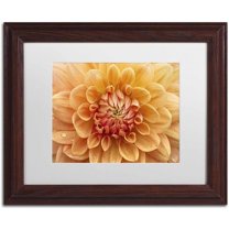 Trademark Fine Art 'Orange Dahlia' Canvas Art by Cora Niele, White Matte, Wood Frame