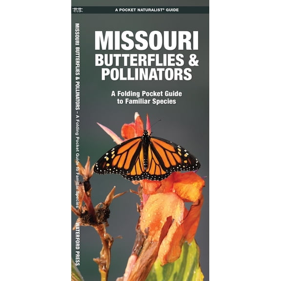 Missouri Butterflies & Pollinators : A Folding Pocket Guide to Familiar Species (Other)