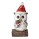 thumbnail image 5 of Estatua de búho de ojos grandes, adorno de búho, manualidades para amantes de los búhos, resina, cocina, chimenea, hogar caja de regalo, 5 of 9