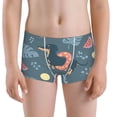 thumbnail image 5 of Yiaed Watermelons Dachshunds Print Boys' Boxer Briefs Cotton Casual Stretch Comfort Boys Boxers - Kids Boxer Briefs Underwear for Boys (6-18)-X-Small, 5 of 5