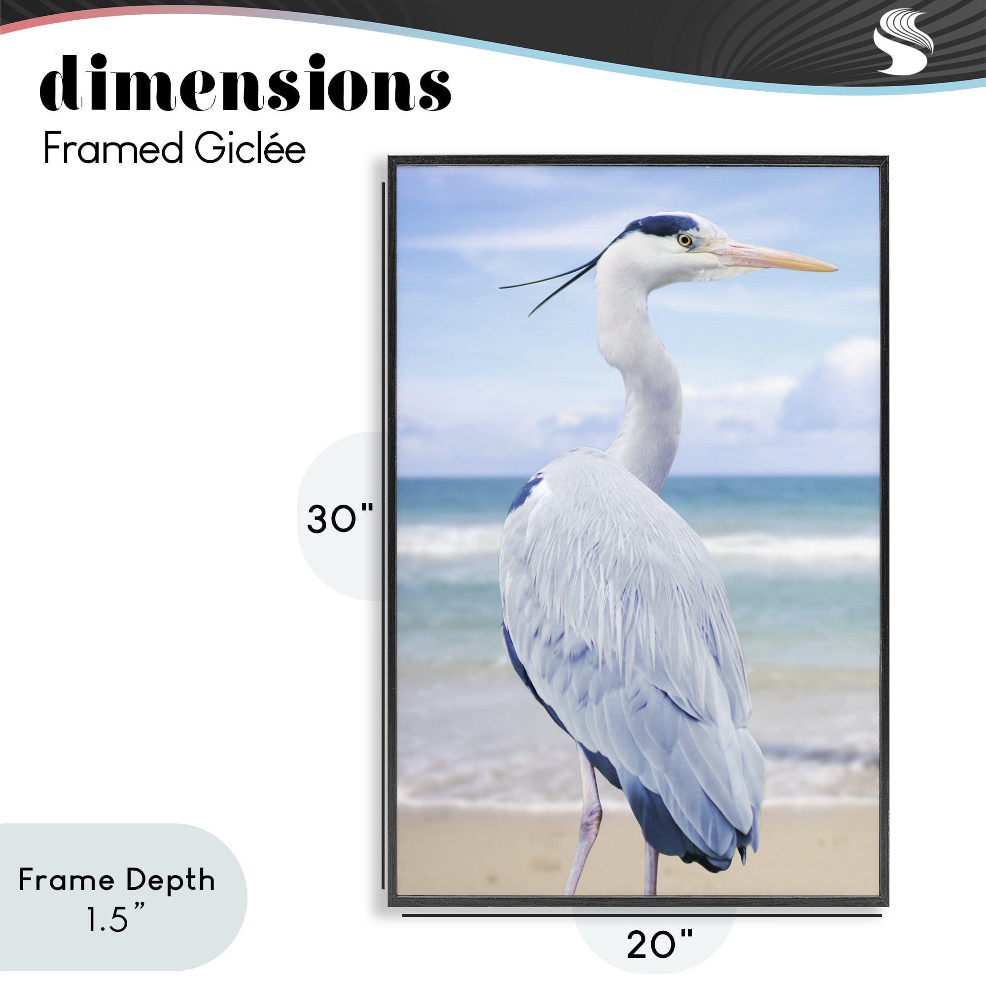 Stupell Industries Vacationing Heron by Seaside Black Framed Giclee Art, design by Marcus Prime
