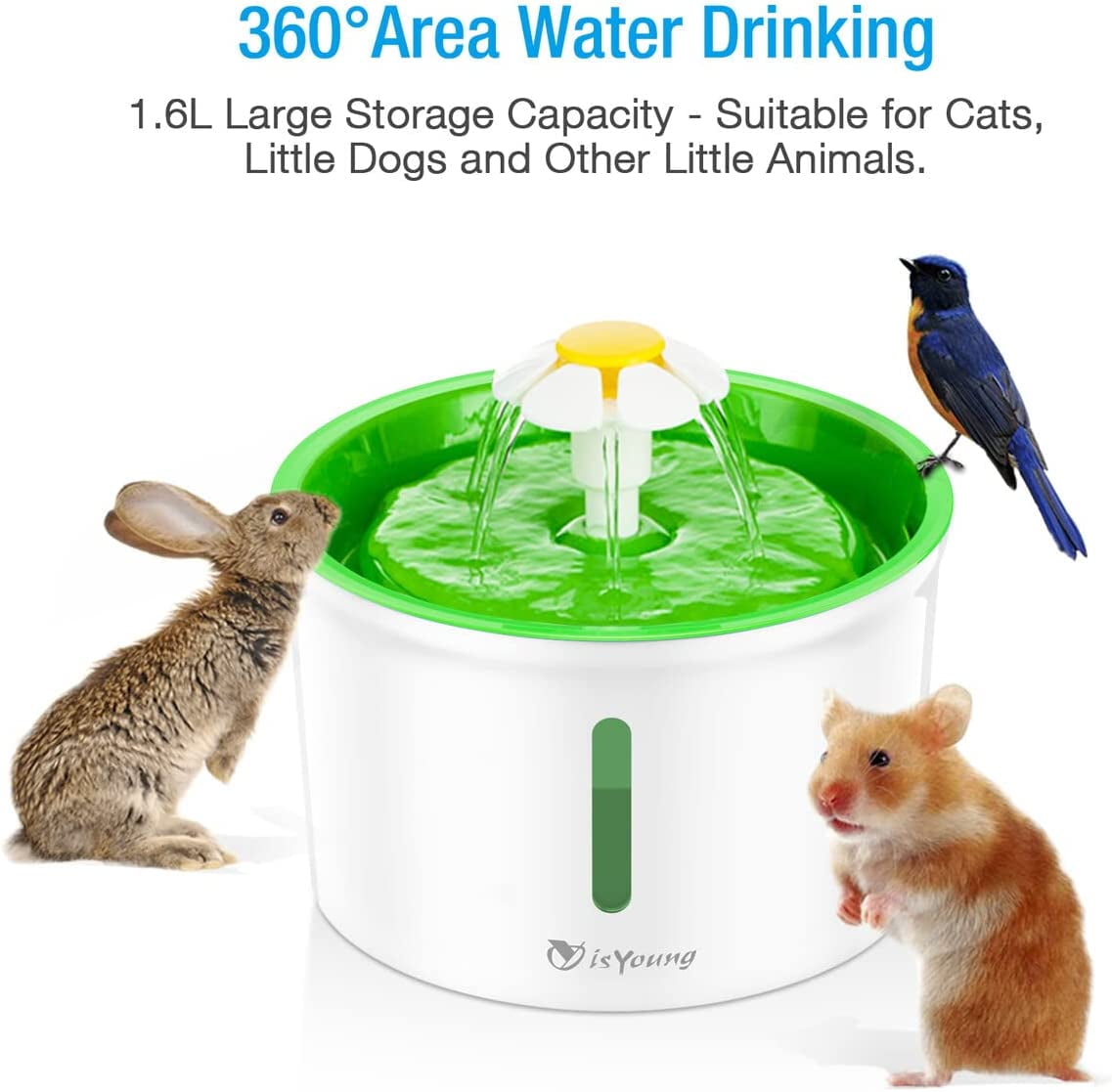 Isyoung cat fountain online