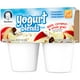 Gerber Yogurt Blends Snack Apple Cinnamon & Whole Grain Yogurt 4-3.5 oz ...