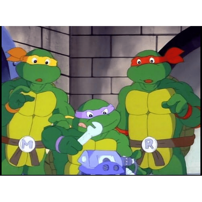 Teenage Mutant Ninja Turtles (1987): The Complete Classic