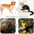 thumbnail image 4 of Pet Clicker HoaOo para adiestramiento de perros, gatos, caballos y pájaros (azul y verde), 4 of 7