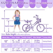 XJD 12 inch Kids Girls Bike for 3-12 Years Old Toddlers, Princess Children Bicycle with Training Wheels, Streamers, Basket, Doll Seat, Purple