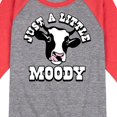 thumbnail image 3 of Instant Message - Just A Little Moody - Toddler & Youth Raglan Graphic T-Shirt, 3 of 7