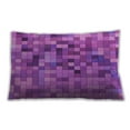 thumbnail image 1 of Ahgly Company Outdoor Rectangular Contemporary Lumbar Throw Pillow, 13 inch by 19 inch, 1 of 5
