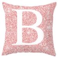 thumbnail image 1 of Letter Throw Pillow Cover Decorative Alphabet Pillow Case Cushion Cover for Home, 1 of 10