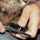 thumbnail image 2 of Sharp Dog Nail Cutter Cat Pet Claw Fingernail Clipper Herramienta duradera (L Pink) Likrtyny Para estrenar, 2 of 8