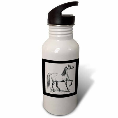 

3dRose Vintage Horse Sketch Sports Water Bottle 21oz