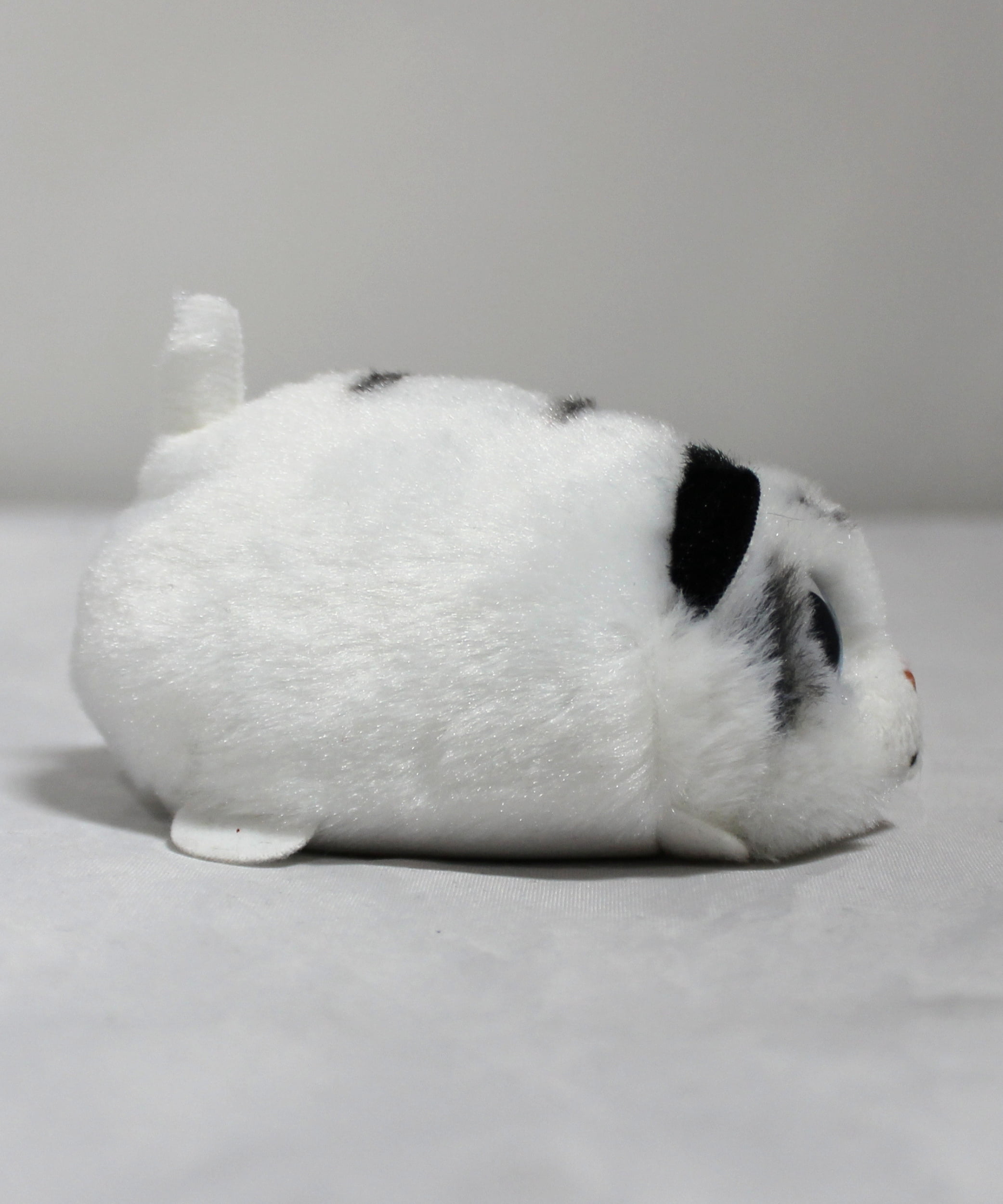 Zack White Tiger - Teeny Tys - Stuffed Animal by Ty (42209