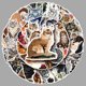 thumbnail image 2 of Paquete de pegatinas Maine Coon Cat, 50 unidades, calcomanías de vinilo impermeables, 2 of 2