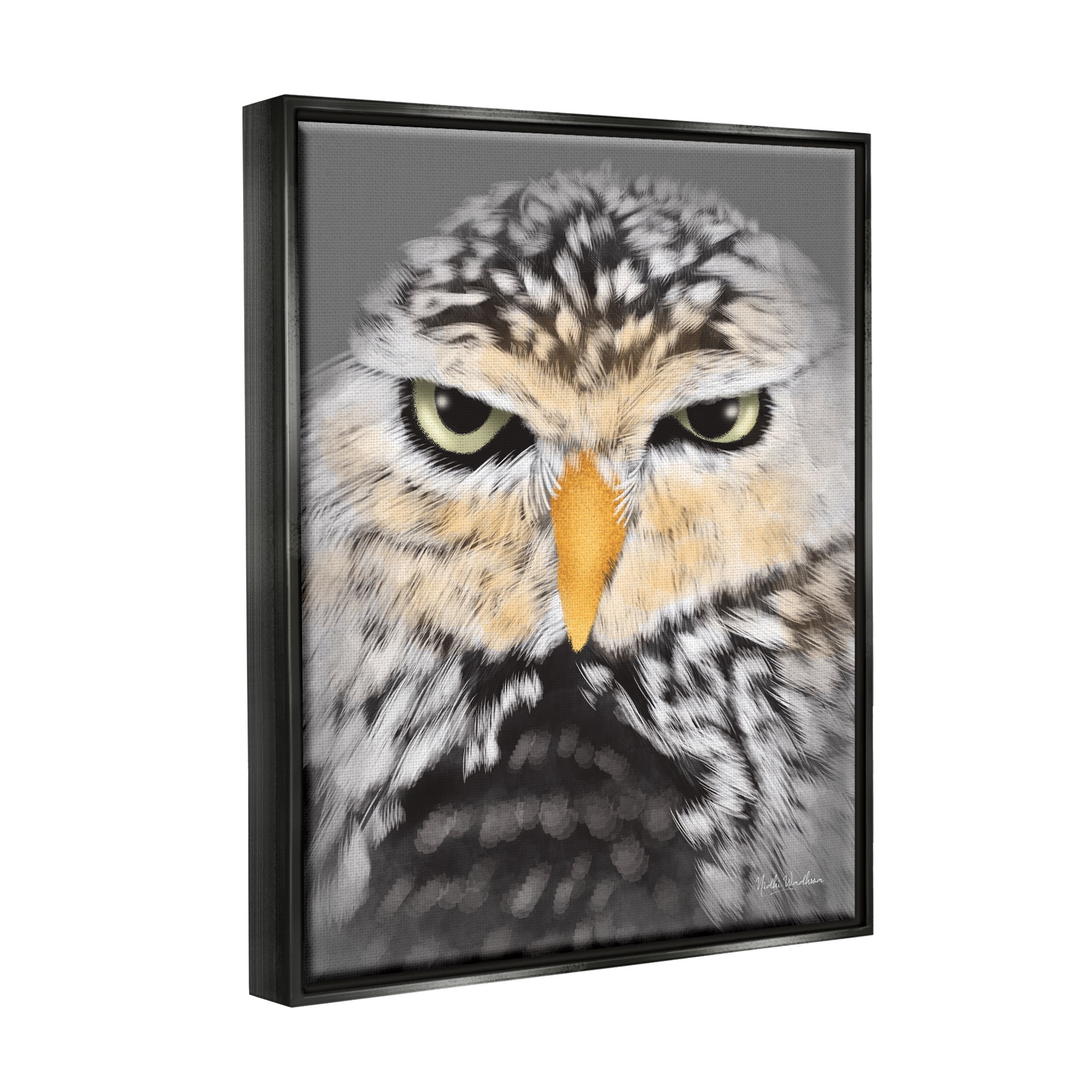 Stupell Industries Owl Wildlife Portrait Animals & Insects Painting Black Floater Framed Art Print Wall Art, 17 x 21