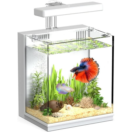 Beta Fish Tank, 2 Gallon Betta Fish Aquariums with Filter & Light, for Men, Fish Tanks for Kids & Starter