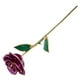 thumbnail image 5 of Rosa real bañada en oro, rosa morada real de 24 quilates, rosa para el día de San Valentín, decoración de rosas de notable claridad, 5 of 12