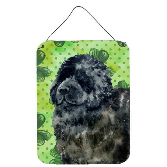 Newfoundland St Patricks Wall or Door Hanging Prints Green