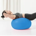 thumbnail image 5 of Exercise Ball Extra Thick Professional Grade Balance & Stability Ball- Includes Hand Pump - blue, 5 of 5