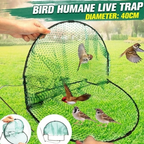Catching Bird Net Pest Control Humane Live Trap Mesh for Sparrows
