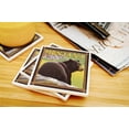 thumbnail image 3 of Montana, Black Bear in Forest (Absorbent Ceramic Coasters Set of 4 Matching Images, Cork Back, Kitchen Table Decor), 3 of 3