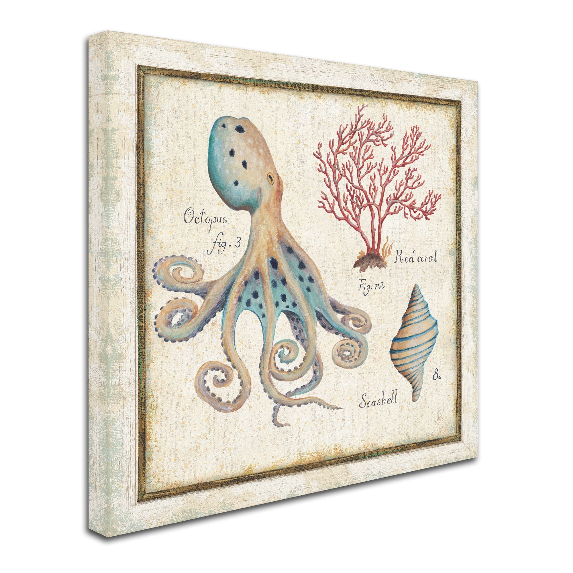 Trademark Fine Art "Oceanography I" Canvas Art by Daphne Brissonnet