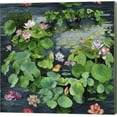 thumbnail image 1 of Arcadian Lily Pond by Bill Jackson, Canvas Wall Art, 1 of 1