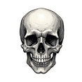 thumbnail image 4 of Cool Skull Stickers Stickers, Waterproof Skull Stickers Sticker for Water Bottle Laptop Phone Cases Planner Skateboard Luggage Helmet Party Favor Decor, Ideal for Adults Teens Teacher Rewards, 4 of 9