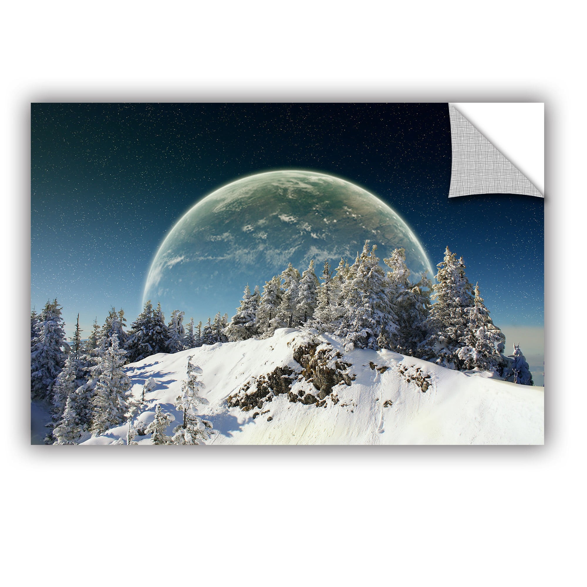 ArtWall Dragos Dumitrascu "Once in December" ArtAppealz Removable Wall Art