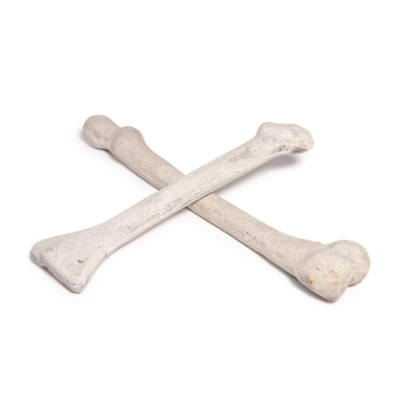 Ceramic Fireproof Skeleton Bones, 16" and 12" Long, Set of 2, Ivory