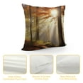 thumbnail image 4 of Fenyluxe Sunbeam Fashion Style Dirt-Resistant Throw Pillow Covers for Couch Sofa Bed Living Room Bedroom Square Pillowcase 1PC 20x20in, 4 of 5