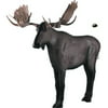 Rinehart Targets 231 Moose Self Healing Archery Big Game Hunting Target