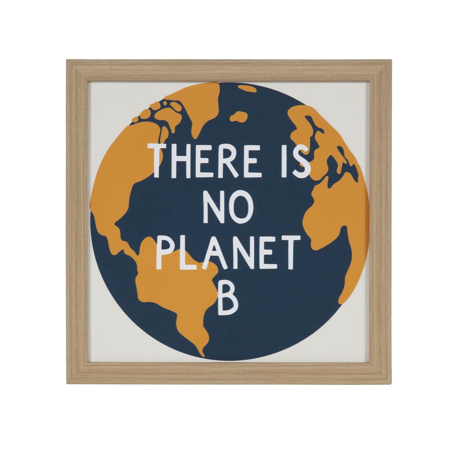 Hometrends "There is No Planet B" Framed Magnet Board