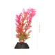 thumbnail image 2 of KAKOWELY 10 plantas acuáticas de hierba para acuario, ideales para decorar peceras de peces Betta., 2 of 4