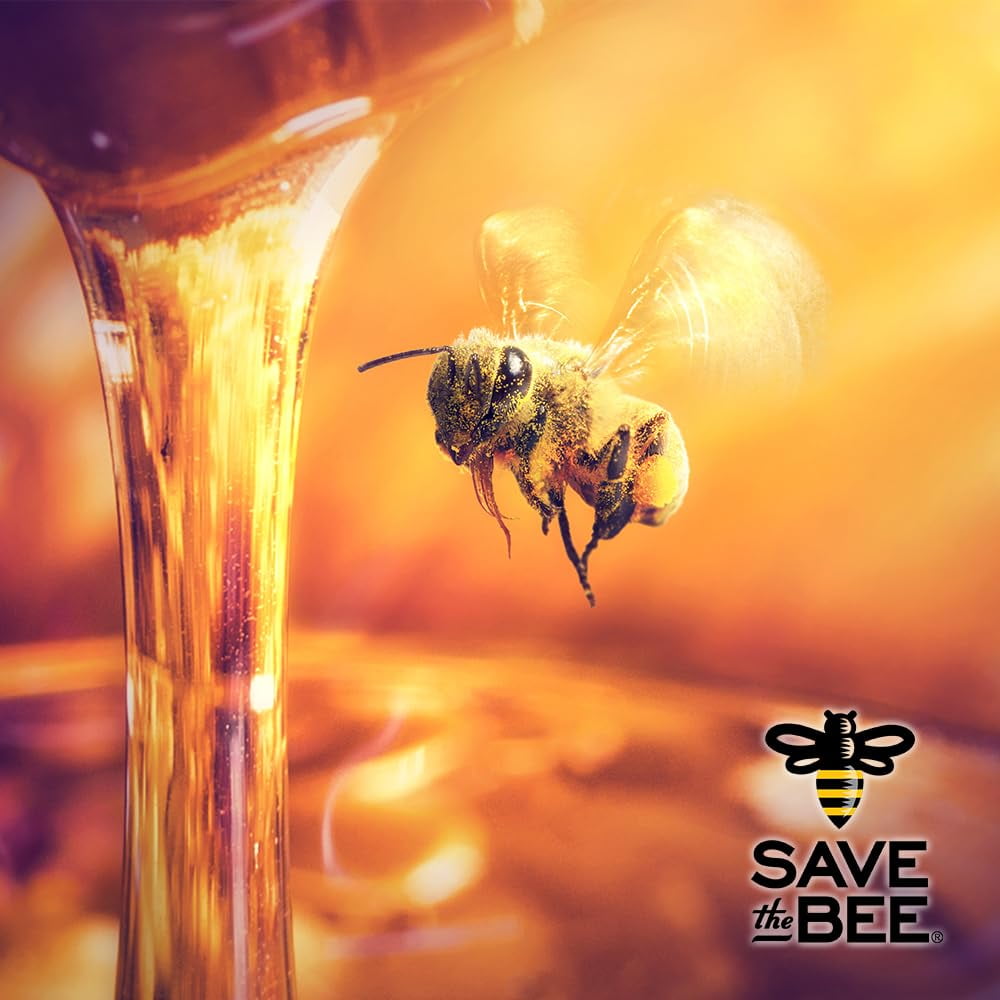 GloryBee Save the Bee Clover Honey, 6/5 lb jugs, Kosher, Non GMO Verified, and True Source Certified, 5lb Honey