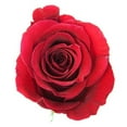 thumbnail image 4 of KaBloom : 24 Red Roses, Next-Day Delivery, Gift for Every Occasion., 4 of 5