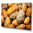 thumbnail image 2 of Designart "Yellow And Grey Potatoes From Agriculture" Vegetables Canvas Wall Art, 2 of 7