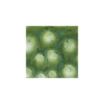 Sax Crystal Magic Glaze, Spotted Kiwi, 1 Pint