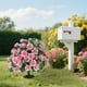 thumbnail image 5 of Ramo de flores de azalea artificial Decoración exterior | Enchufe de tierra | Plástico impermeable a prueba de sol | Paisajismo de suelo para jardín, patio, porche | 50x35cm | Rosa, Púrpura,, 5 of 6