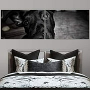 Color-Banner 2 Pieces Modern Canvas Wall Art Black and White Dog Looking into Camera for Living Room Home Decorations - 16"x24" x 2 Panels