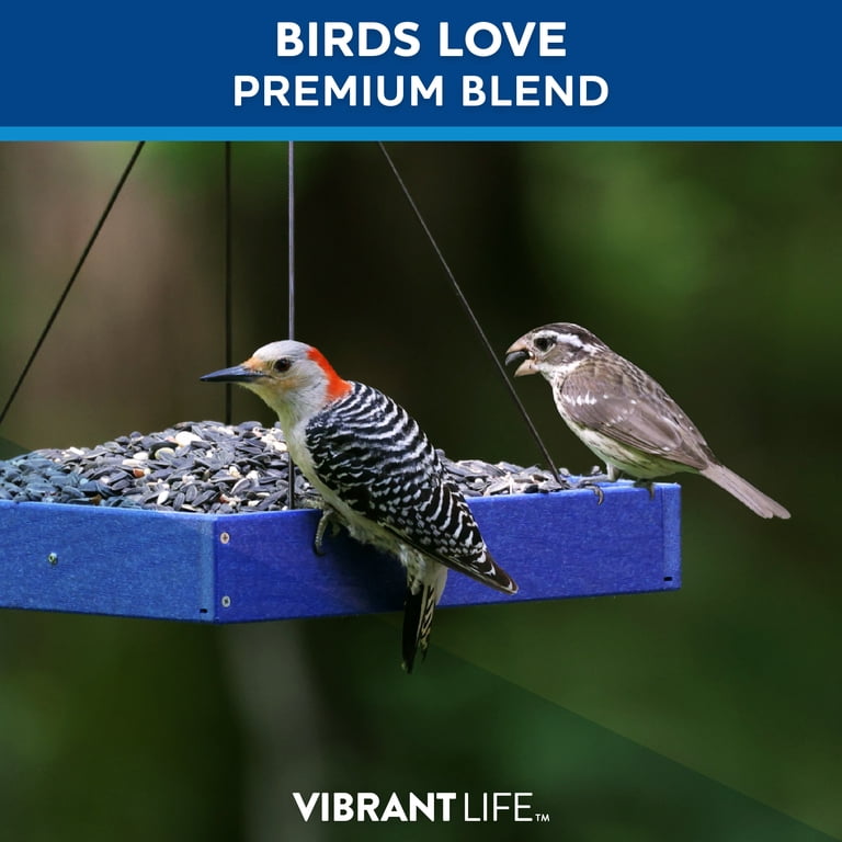 Vibrant Life Premium Blend Wild Bird Seed, 5 lbs Bag - Walmart.com