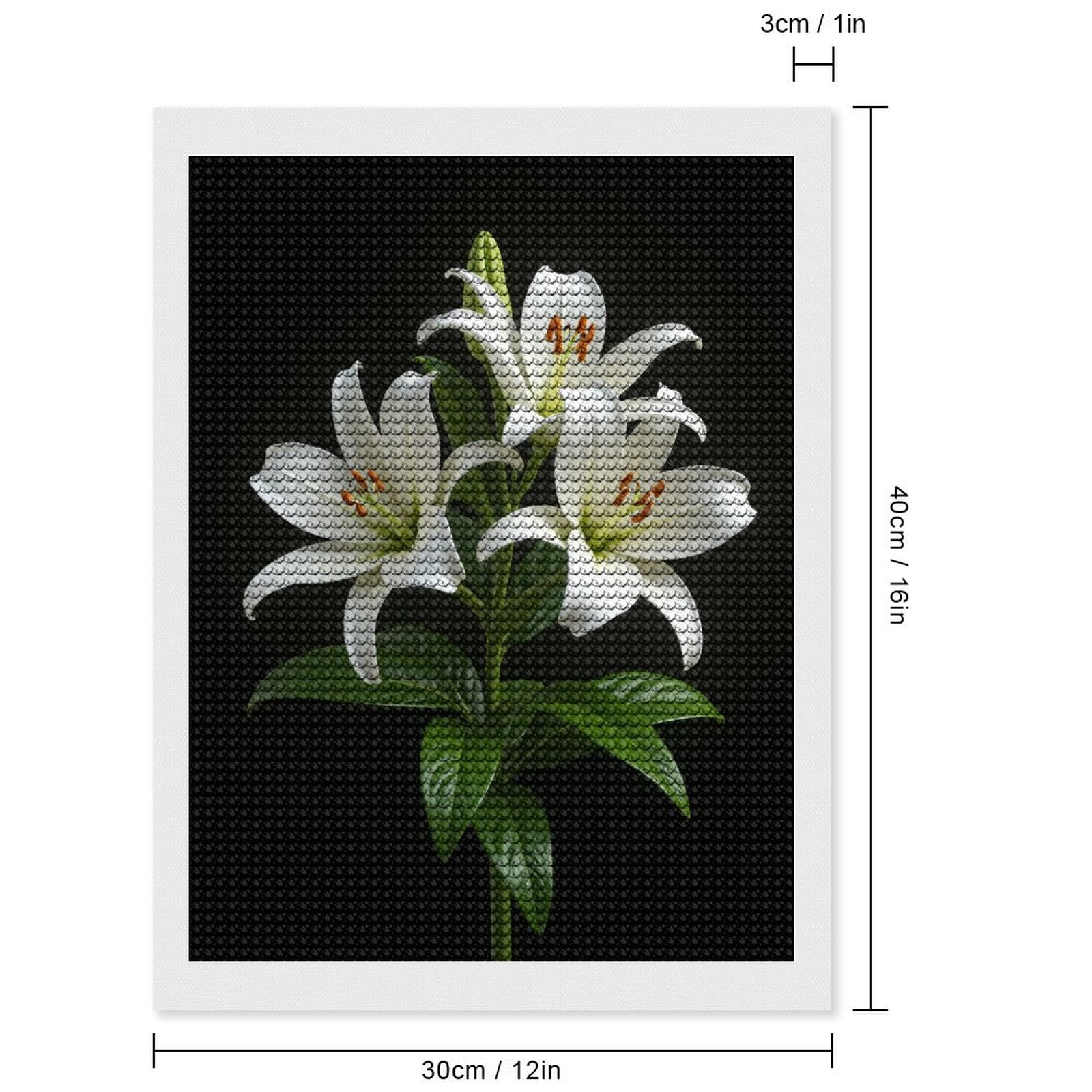 Diamond Art Kits for Adults, White Blossoms Against Black Background 5D Diamond Painting Kits for Adults Beginners, DIY Full Drill Diamond Painting, Gem Art and Crafts 12x16