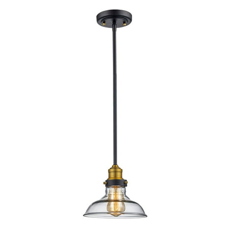

Trans Globe Lighting Jackson 70823 ROB Pendant Light