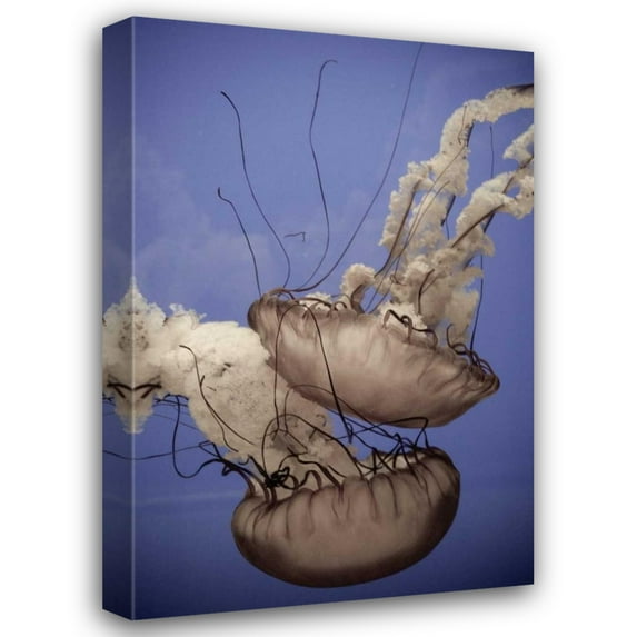 Erin Berzel 13x18 Gallery Wrapped Canvas Wall Art Titled - In the Water I