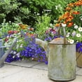thumbnail image 5 of Flower Rocket Summer Bouquet Seed Disc Concentrated Flower Planting Gardener Indoor Outdoor Kit Produces Countless Flowers Great For Spring Summer Gardening Activities Set of 2, 5 of 5