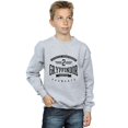 thumbnail image 2 of Harry Potter Boys Gryffindor Keeper Sweatshirt, 2 of 5