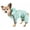 Aqua Blue, variant on Dog Helios 'Torrential Shield' Waterproof Multi-Adjustable Full Bodied Pet Dog Windbreaker Raincoat