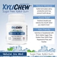 thumbnail image 2 of Xylichew - Sugar Free Chewing Gum Ice Mint Jar, 2 of 11