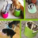 thumbnail image 5 of Cuenco inclinable, suministros para perros y gatos, cuenco de comida, cuenco de acero inoxidable, cuenco para perros, cuenco para gatos, cuenco de arroz, 5 of 5