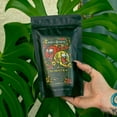 thumbnail image 6 of Bones Coffee Medium Roast Whole Bean Coffee | 4 oz World Tour Gift Set Sample Pack Flavored Coffee with Mug, 6 of 9